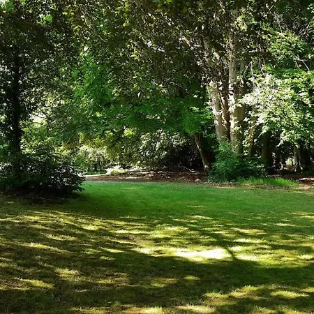 Parkhotel Keck - Castillo Del Bosque 3*