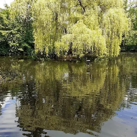 Hotel Parkhotel Keck - Castillo Del Bosque Wingst
